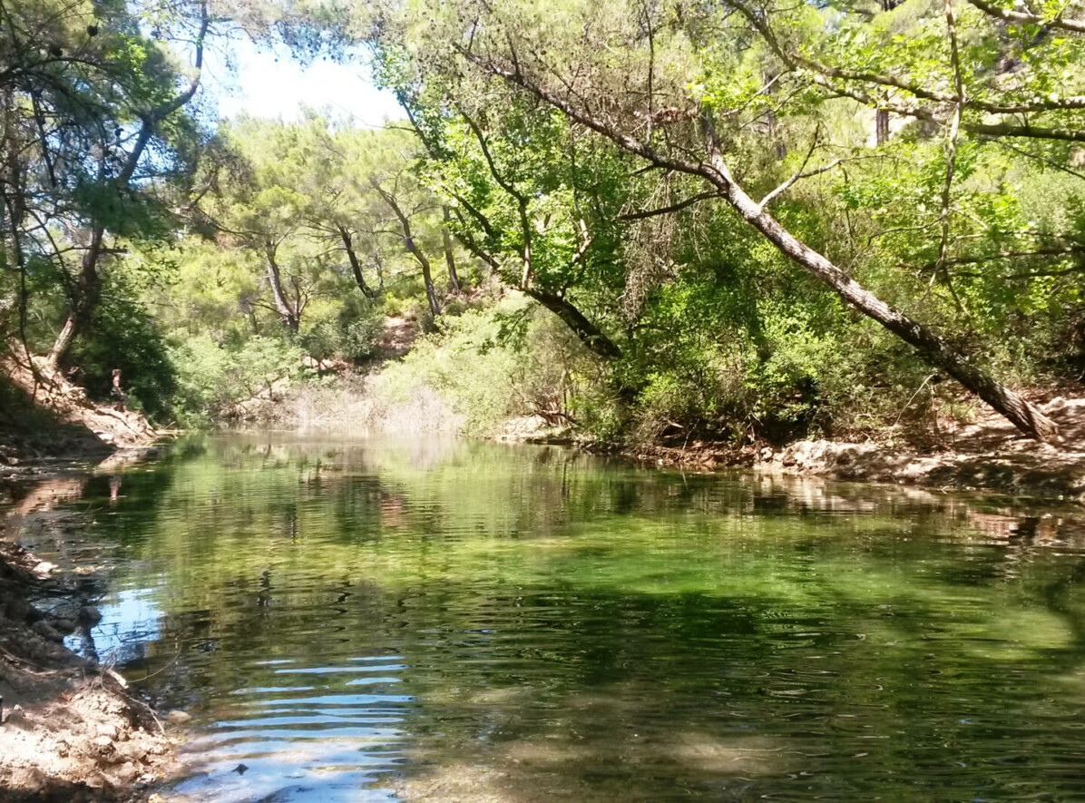 20150623_151755 20150623_151755