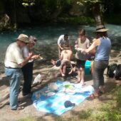 Rafting and hiking at Lousios gorge, Arcadia-peloponnese (2)
